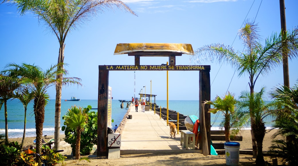 Tela which includes tropical scenes and general coastal views