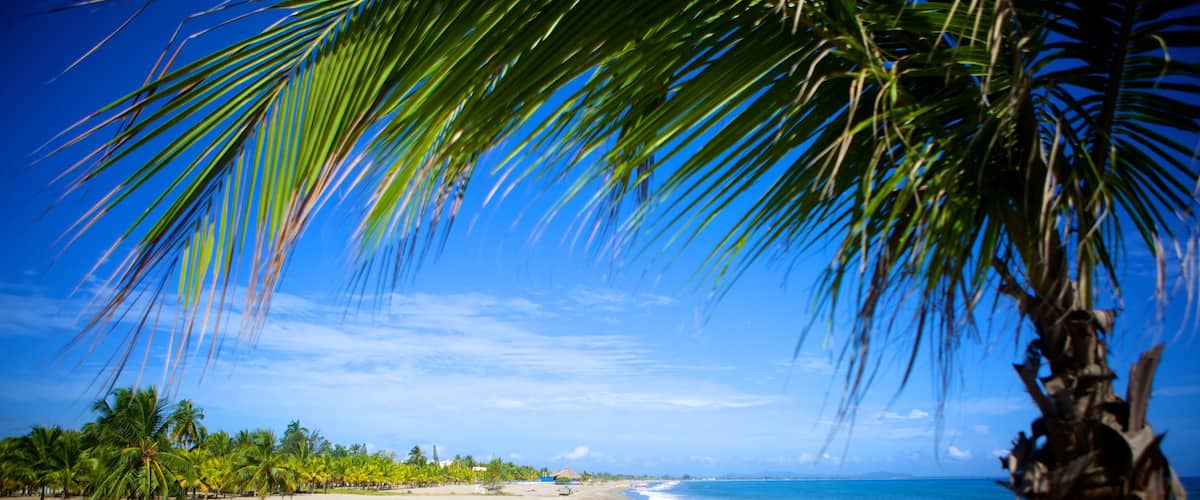 Tela showing tropical scenes, a sandy beach and landscape views