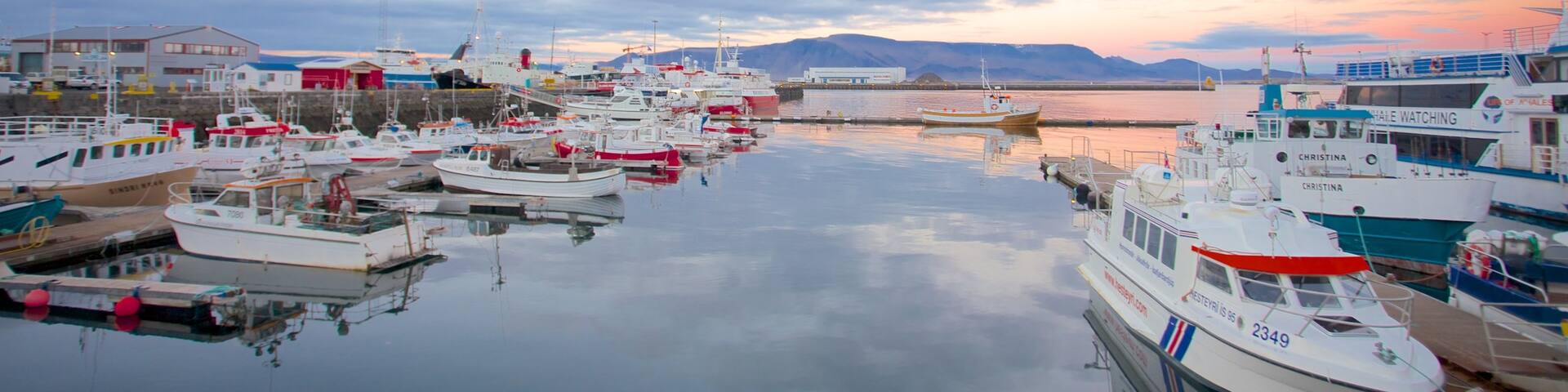 Reykjavik Harbour showing boating, general coastal views and a bay or harbour