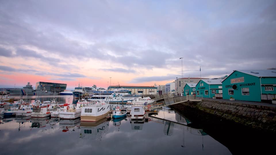 Puerto de Reykjavík mostrando botes, una bahía o un puerto y vista general a la costa