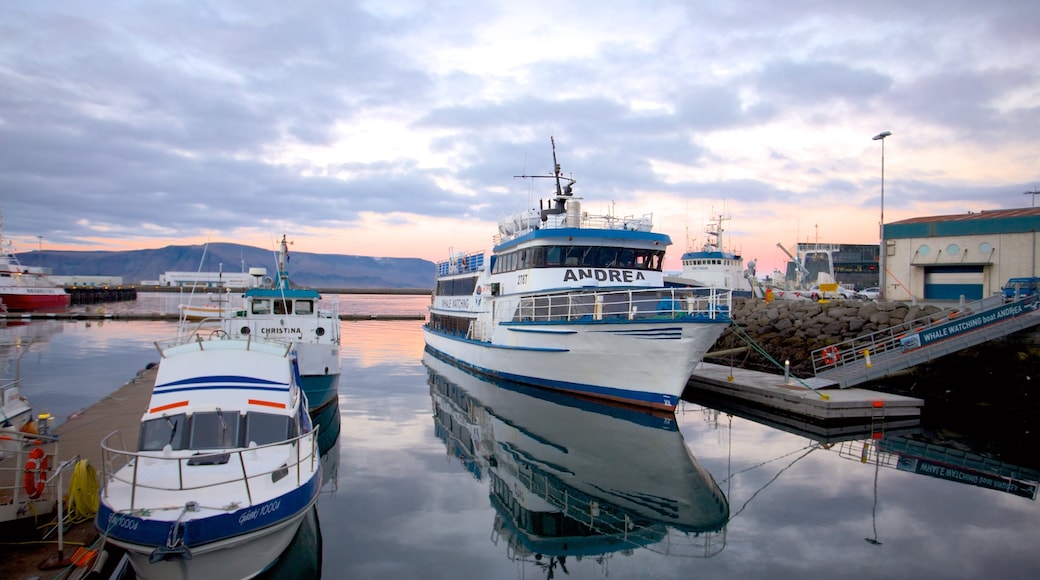 Haven van Reykjavik inclusief een baai of haven, een zonsondergang en varen