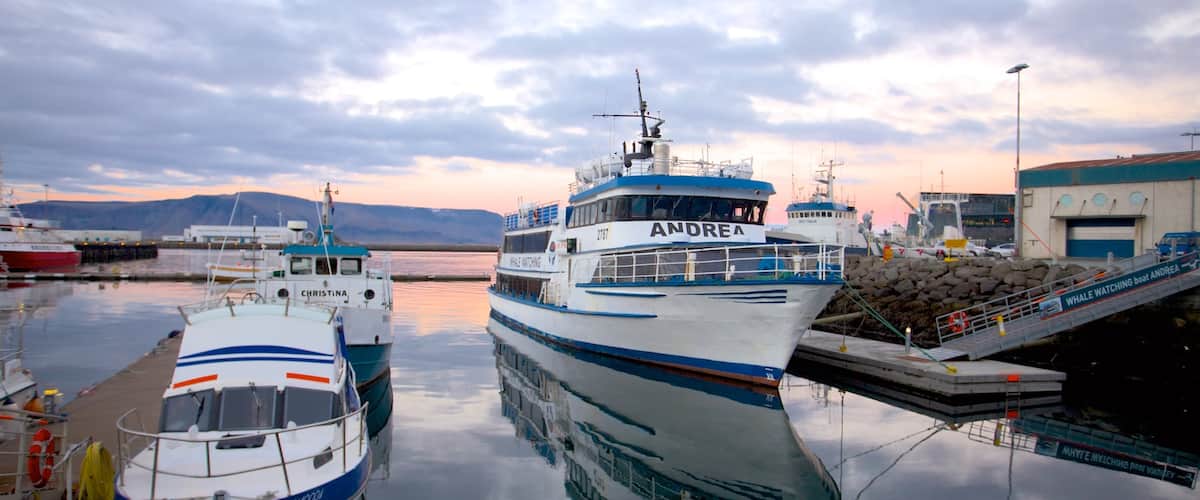 Reykjavik Harbour showing general coastal views, a sunset and a bay or harbor