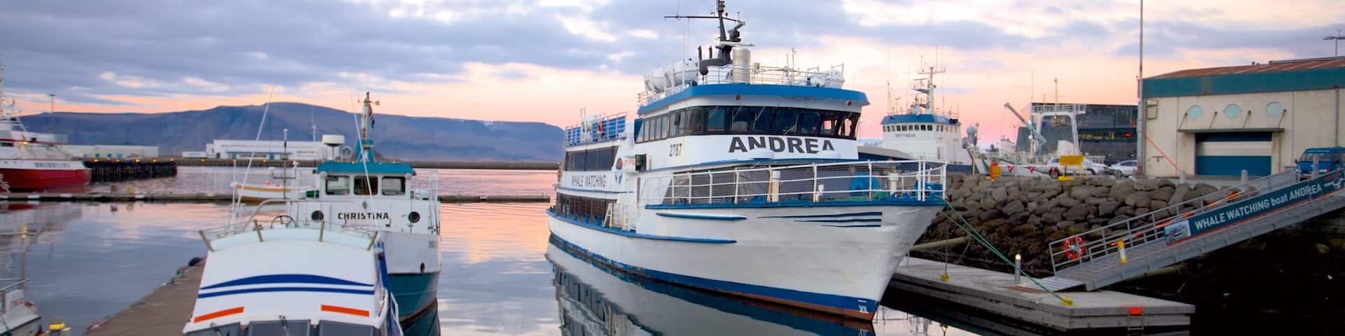 Reykjaviks hamn som inkluderar kustutsikter, bÄtkörning och en hamn eller havsbukt