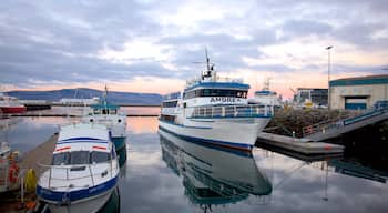 Reykjavik Harbour which includes a sunset, a bay or harbour and boating