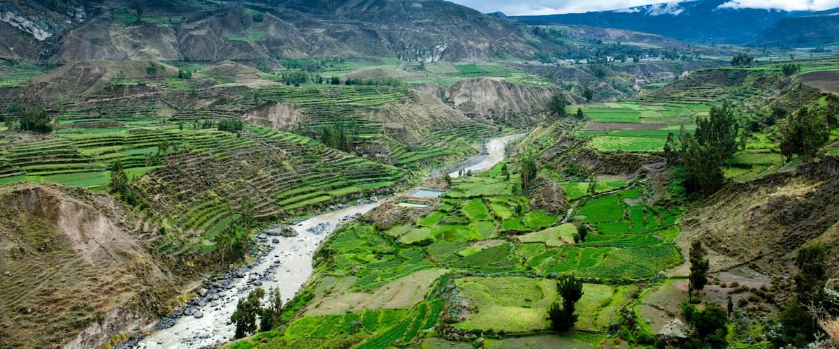 Cañón del Colca ofreciendo un río o arroyo, tierras de cultivo y vistas de paisajes