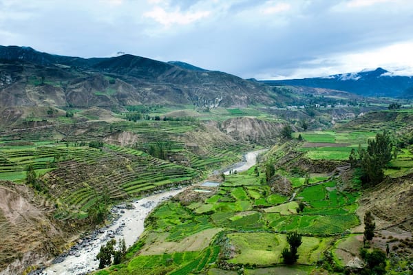 Colca Cañón welches beinhaltet Farmland, Landschaften und Fluss oder Bach