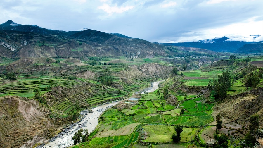 Valle del Colca mostrando terreno coltivato, vista del paesaggio e fiume o ruscello