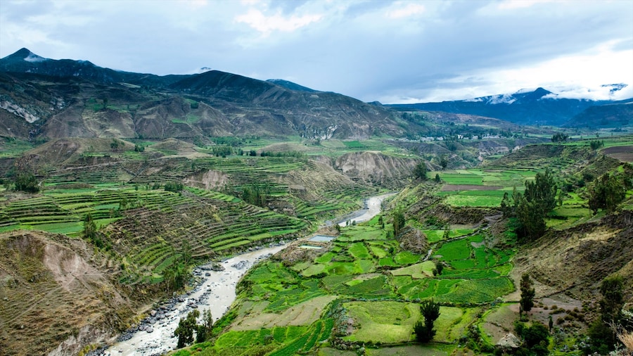 Cañón del Colca mostrando granja, un río o arroyo y vista panorámica