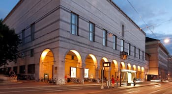 Basel Art Museum showing night scenes and street scenes