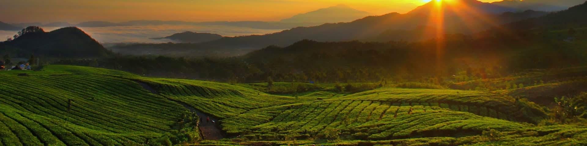 Bandung which includes a sunset, landscape views and farmland