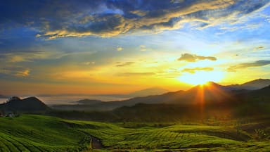 Bandung showing farmland, mountains and a sunset