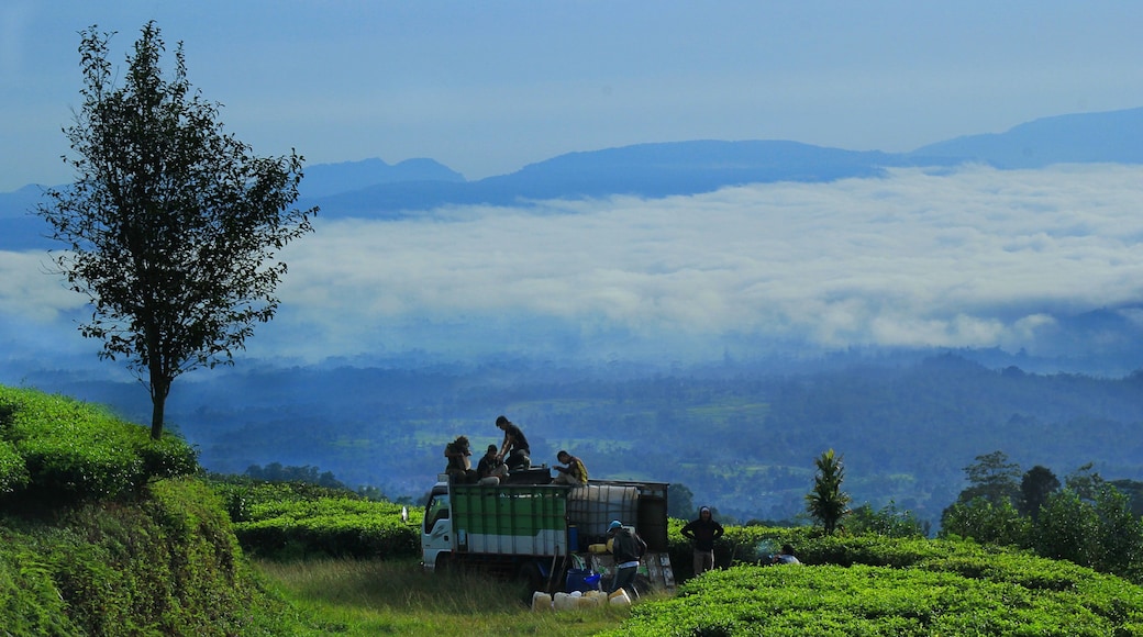 Foto fornecida por Visit Indonesia