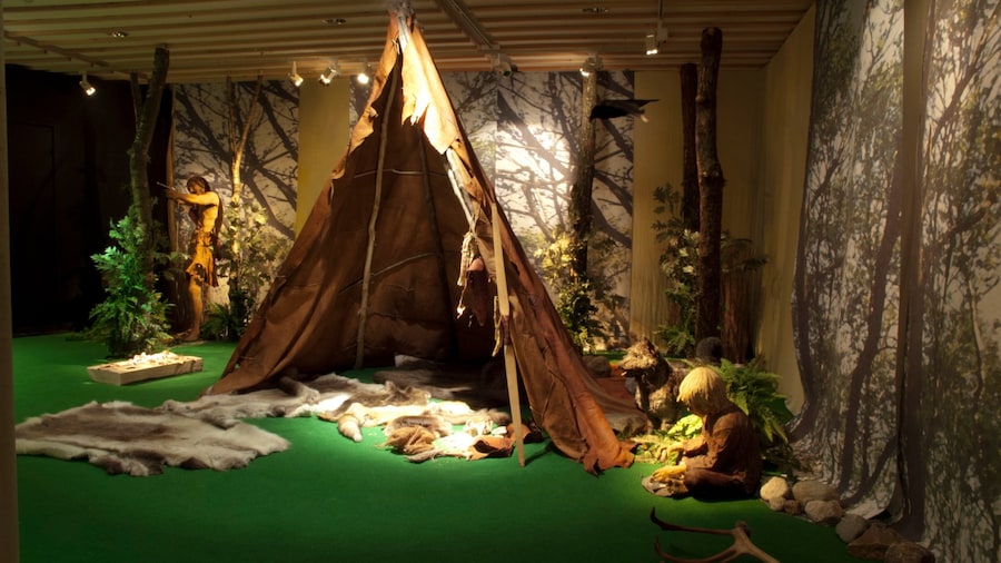 Museum of Archaeology