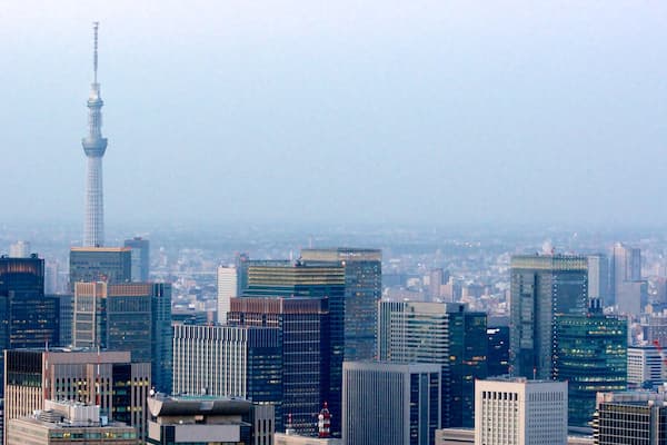Tokyo Sky Tree featuring city views and landscape views