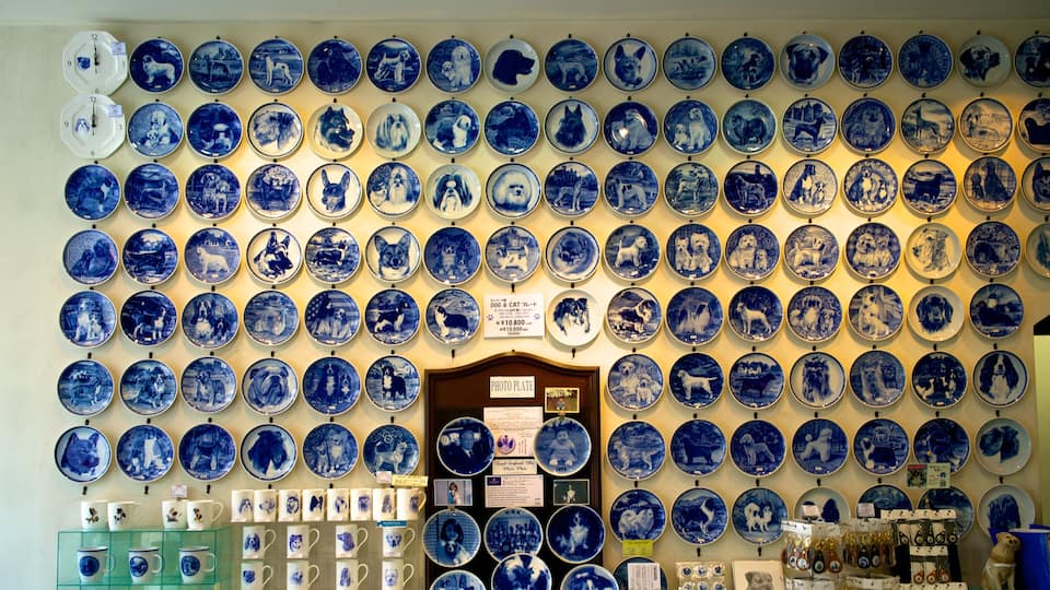 Yokohama showing shopping and interior views