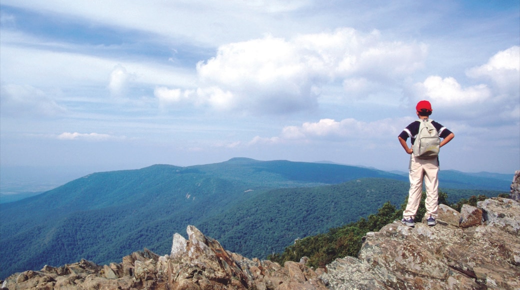 Photo provided by Luray-Page County Chamber of Commerce