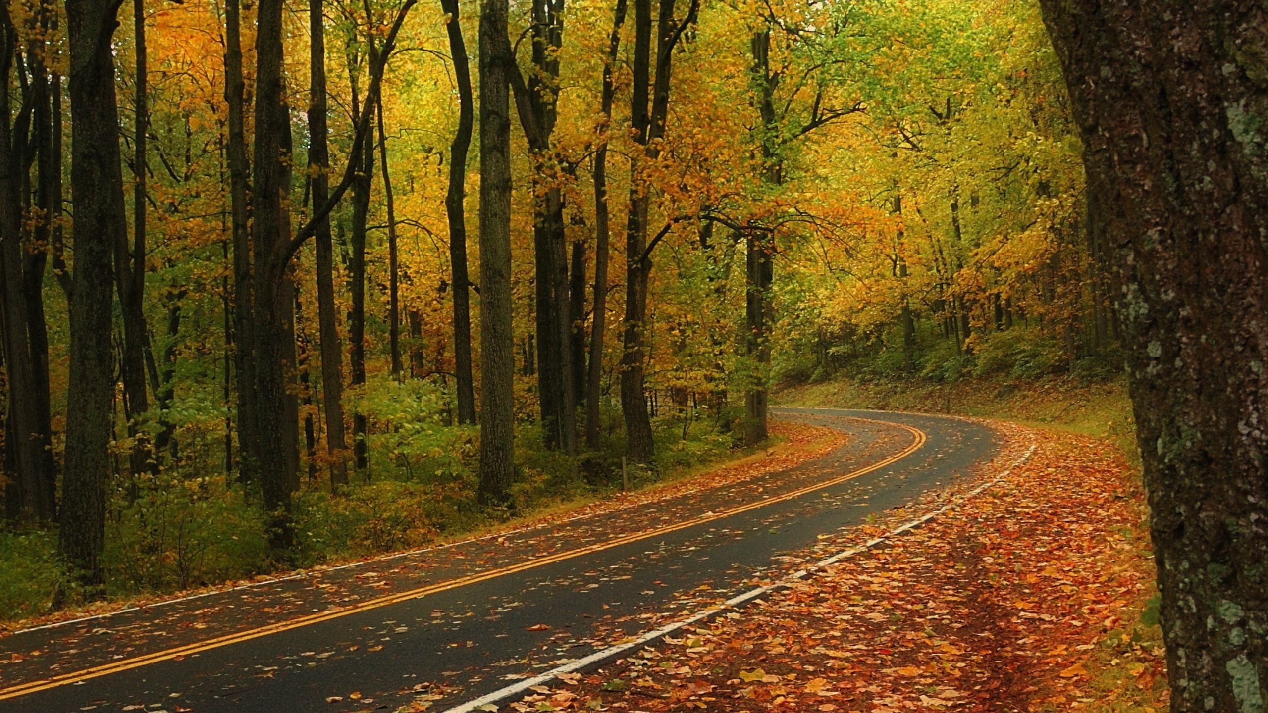 Visit Luray: 2023 Travel Guide for Luray, Virginia  Expedia