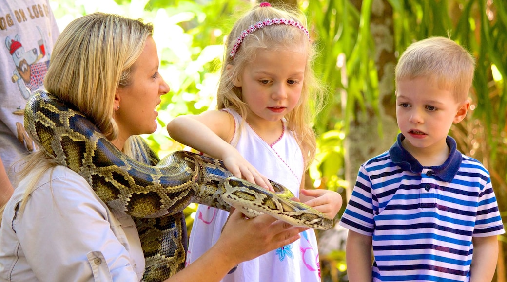 Australia Zoo showing dangerous animals and zoo animals as well as children