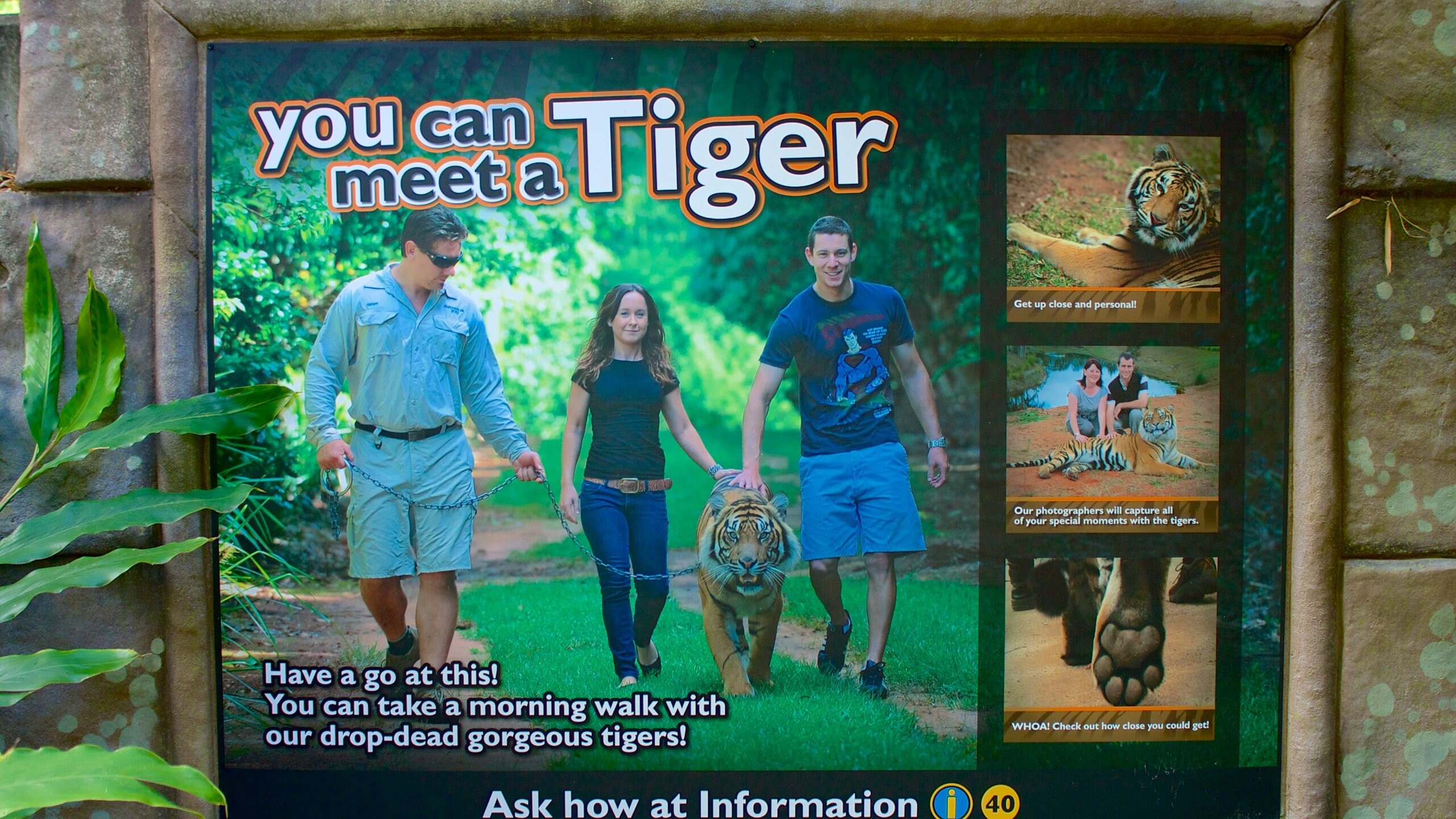 Share 93+ about australia zoo tickets cool NEC