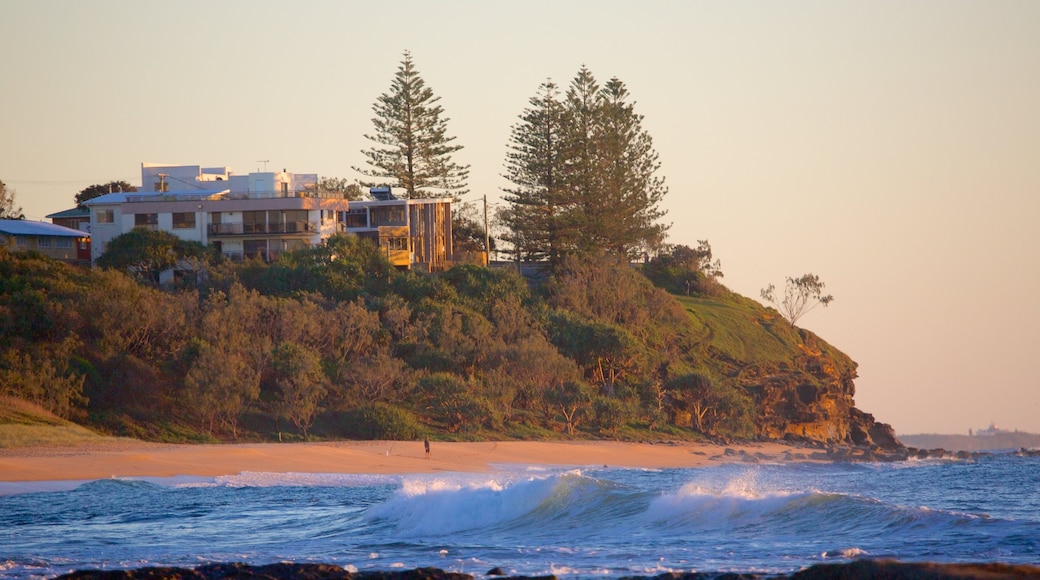 Shelly Beach which includes general coastal views