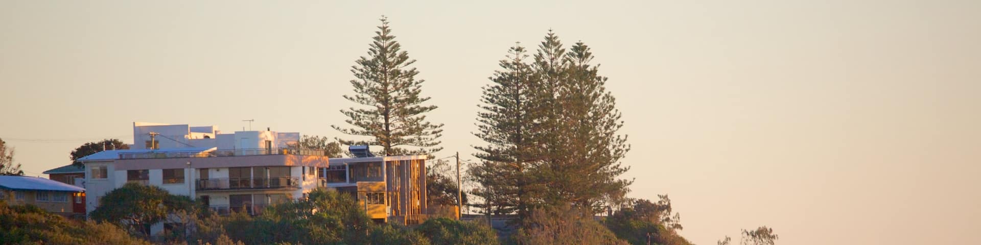 Shelly Beach which includes general coastal views