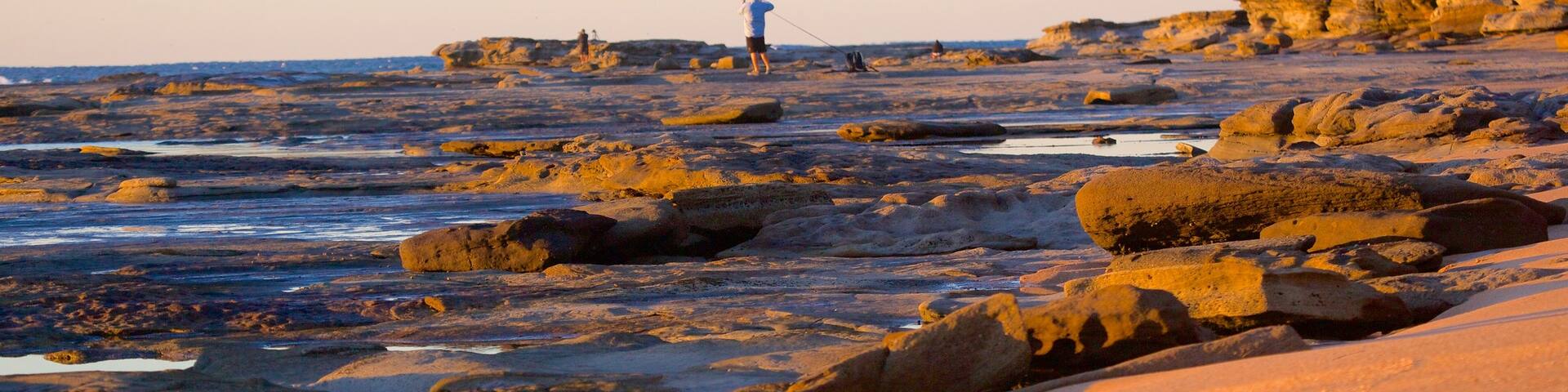 Shelly Beach which includes general coastal views and rugged coastline