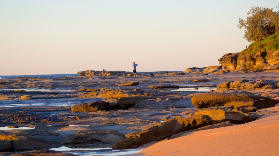 Shelly Beach featuring rocky coastline and general coastal views
