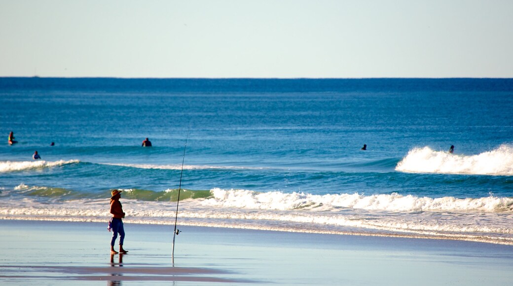 Alex Beach mostrando pesca e uma praia de areia assim como um grande grupo de pessoas