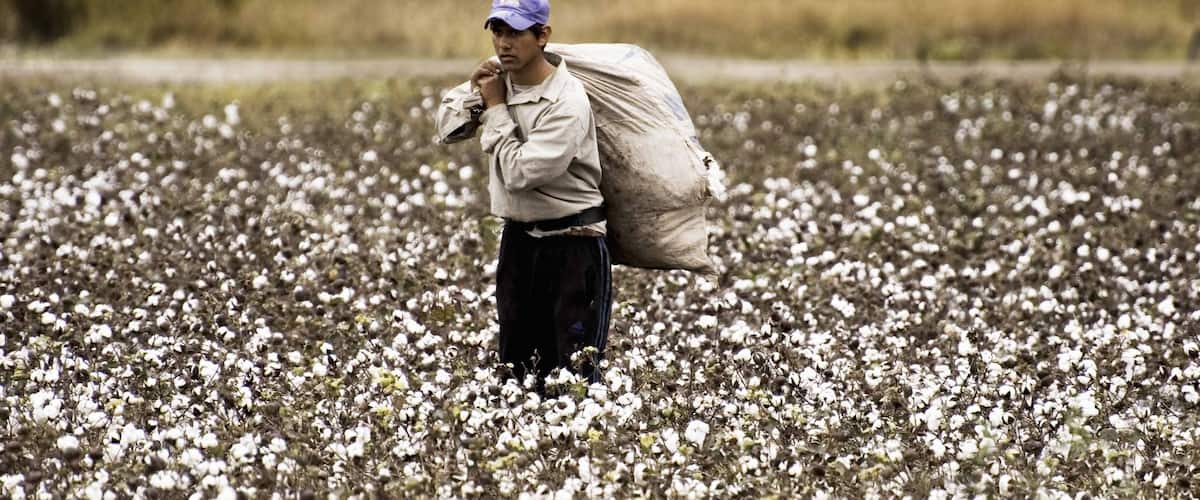 Chaco ofreciendo flores y tierras de cultivo y también un hombre