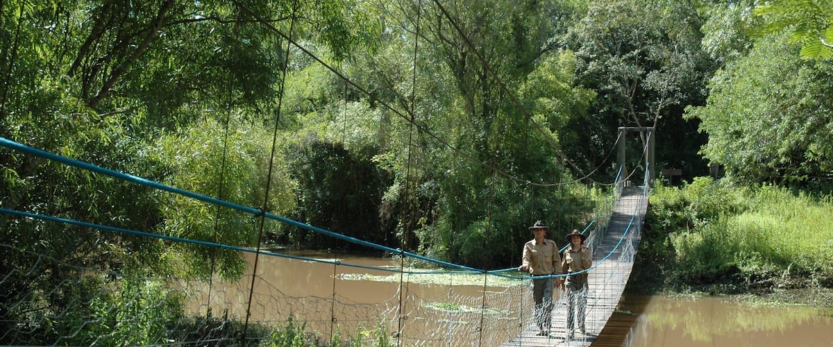 Chaco showing hiking or walking, a bridge and a river or creek