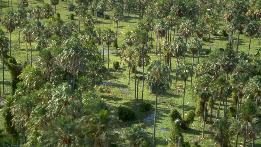 Formosa showing tranquil scenes