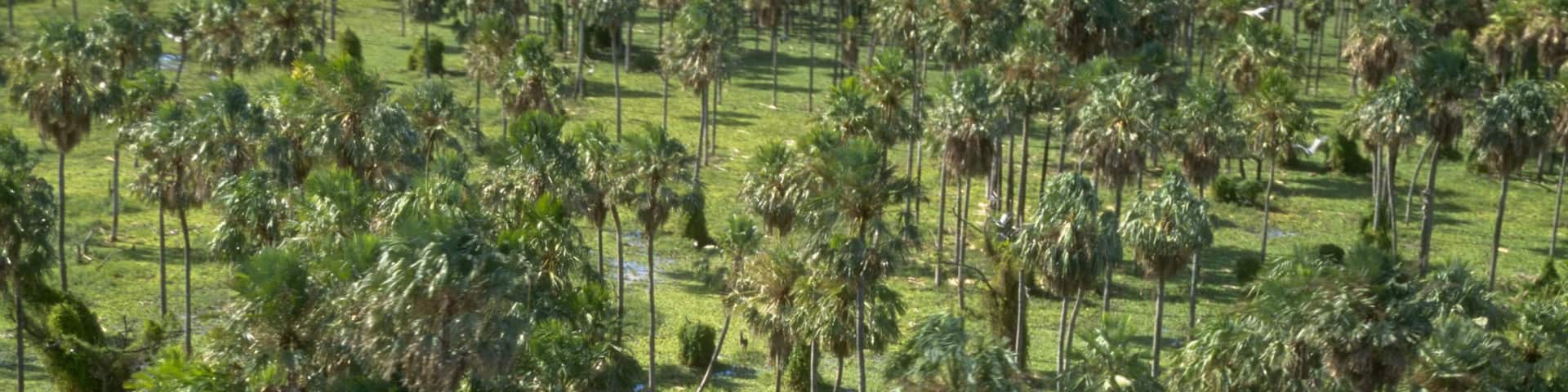 Formosa featuring tranquil scenes