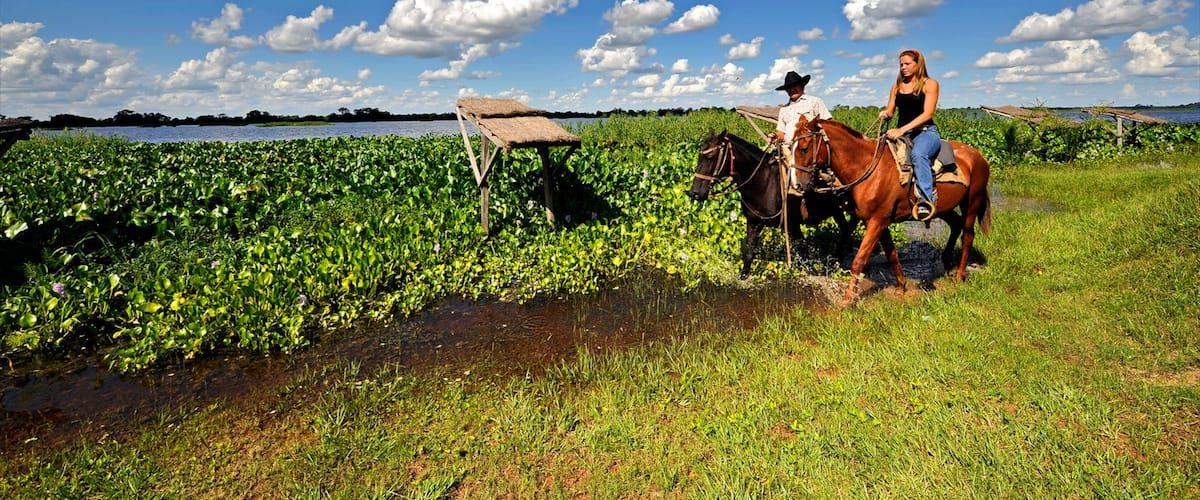 Formosa showing farmland, horseriding and land animals