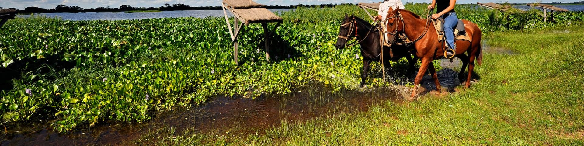 Formosa showing farmland, land animals and horse riding