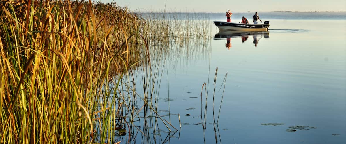 Corrientes mostrando paseos en lancha, vistas de paisajes y humedales