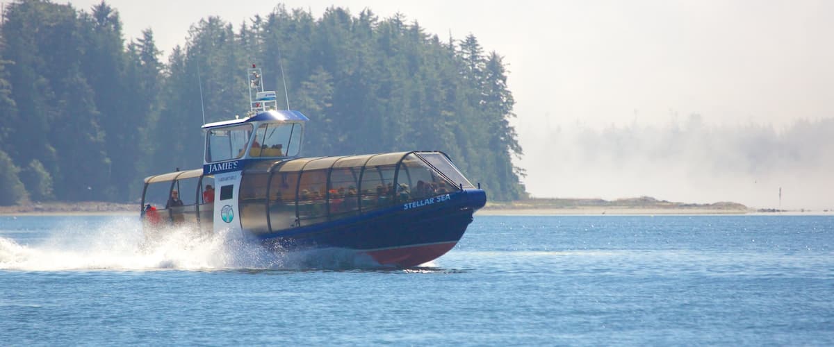 Tofino which includes general coastal views, mist or fog and boating