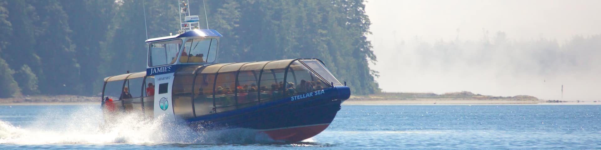 Tofino das einen Nebel, Bootfahren und allgemeine Küstenansicht