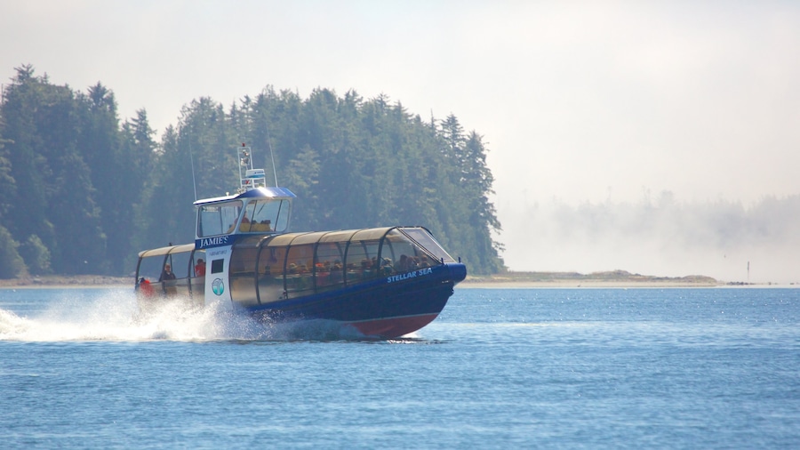 Tofino showing boating, general coastal views and mist or fog