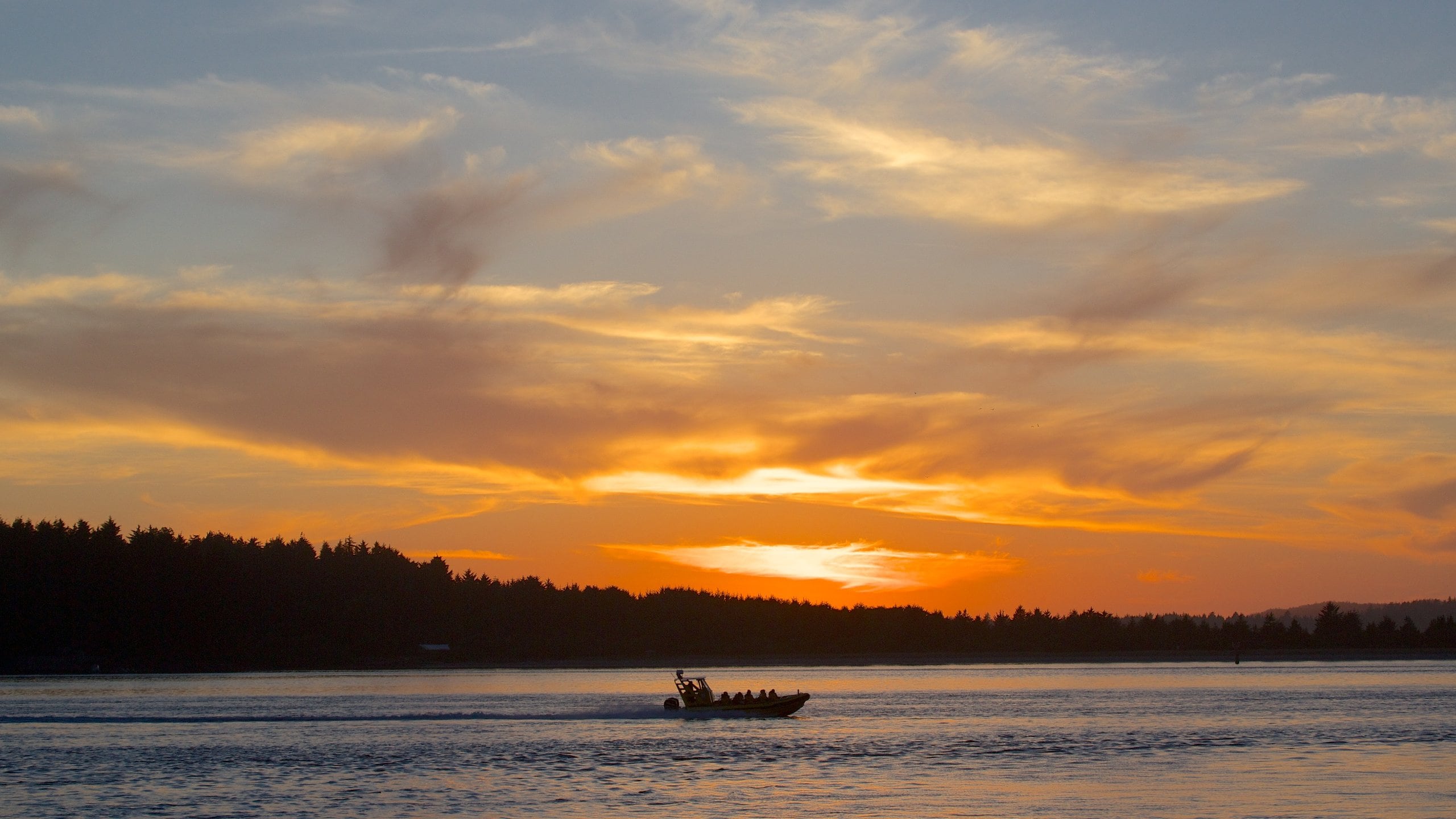 Tofino featuring general coastal views, a sunset and boating