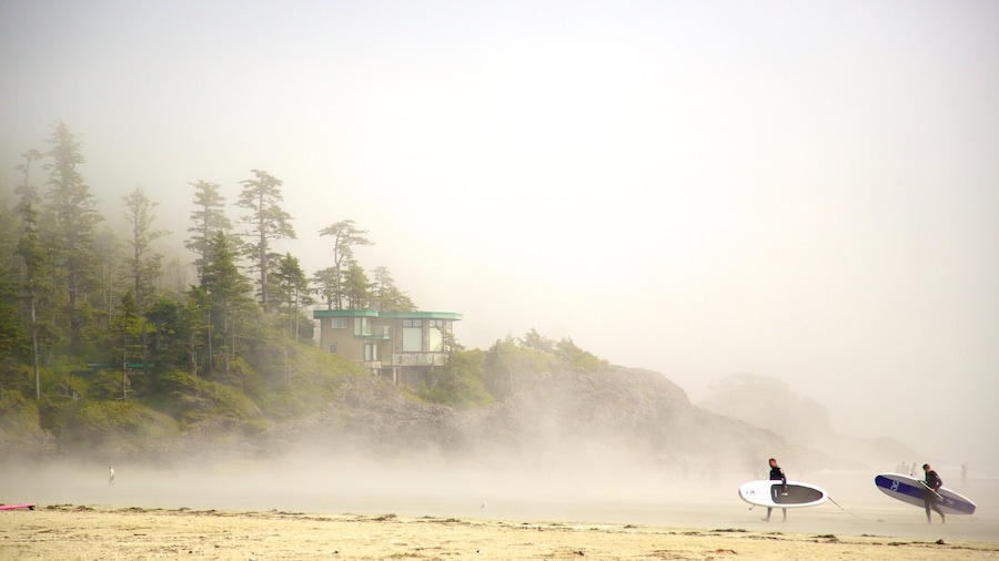 Playa Mackenzie