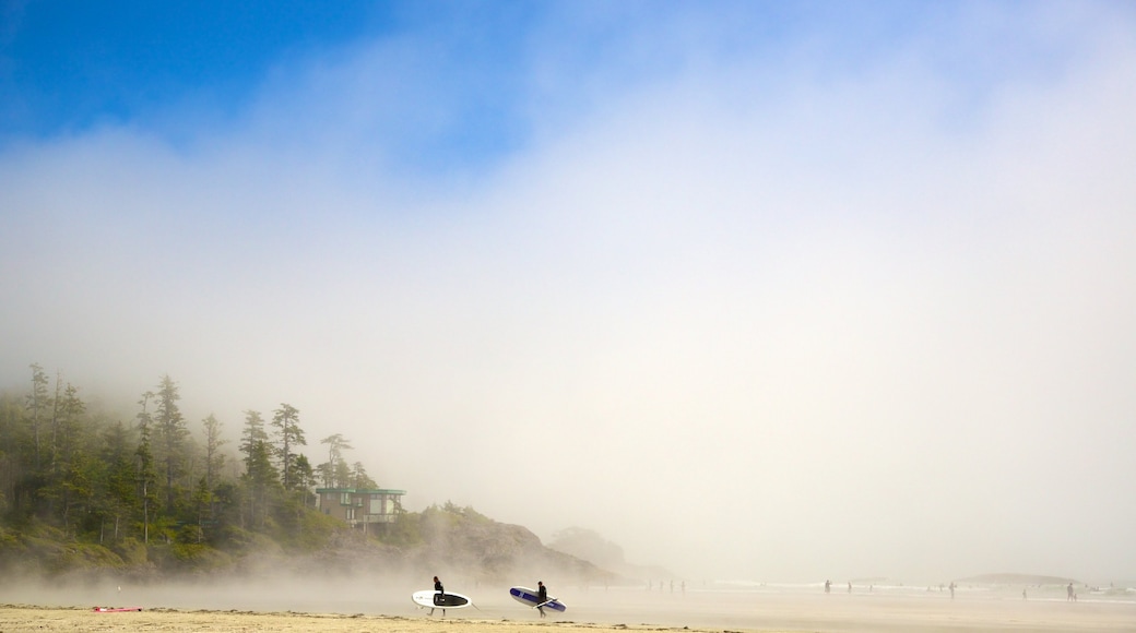 Mackenzie Beach bevat mist of nevel en een zandstrand