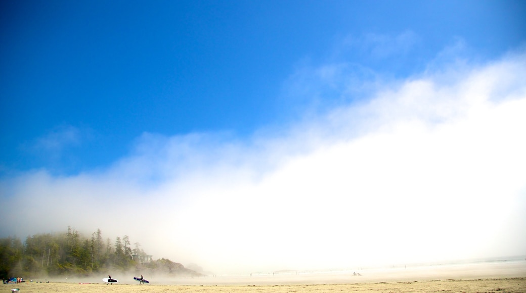 Mackenzie Beach welches beinhaltet Sandstrand und Nebel