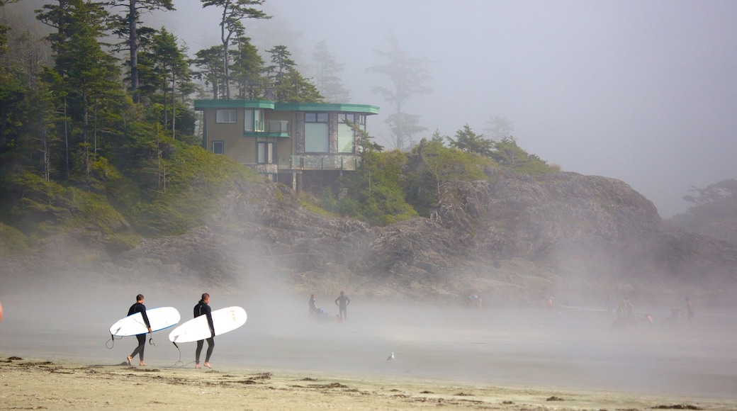 Mackenzie Beach som visar en sandstrand, dimma och surfing