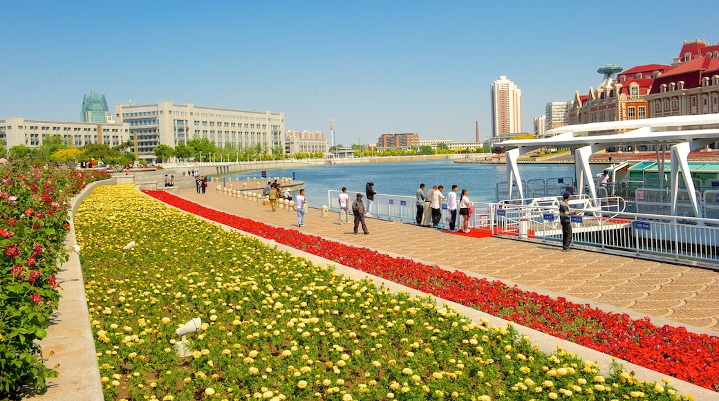 Tianjin showing street scenes, flowers and wild flowers