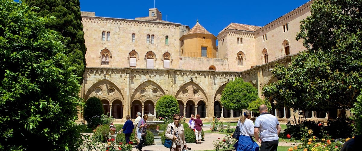 Catedral de Tarragona que incluye un parque y patrimonio de arquitectura y también un gran grupo de personas