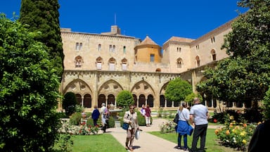 Cattedrale di Tarragona che include architettura d\'epoca e giardino cosi come un grande gruppo di persone