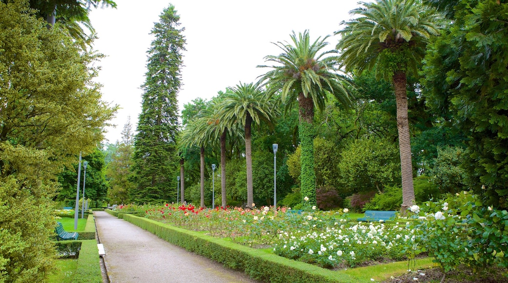 Parque Alameda mostrando un parque