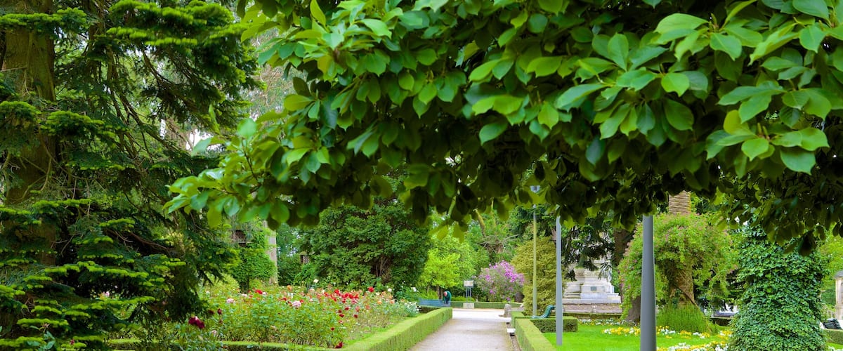Parque de la Alameda