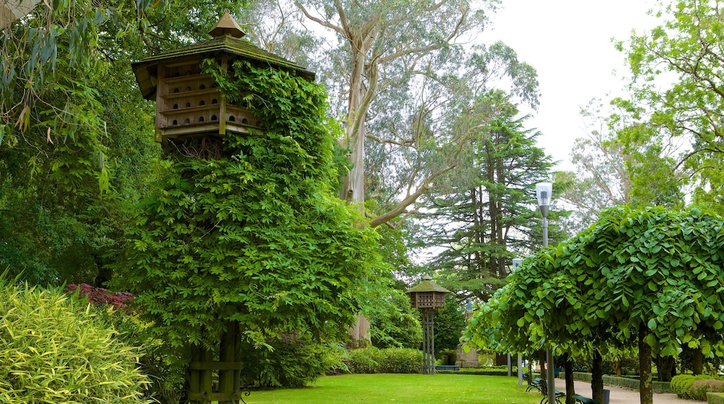 Alameda Park mostrando um jardim