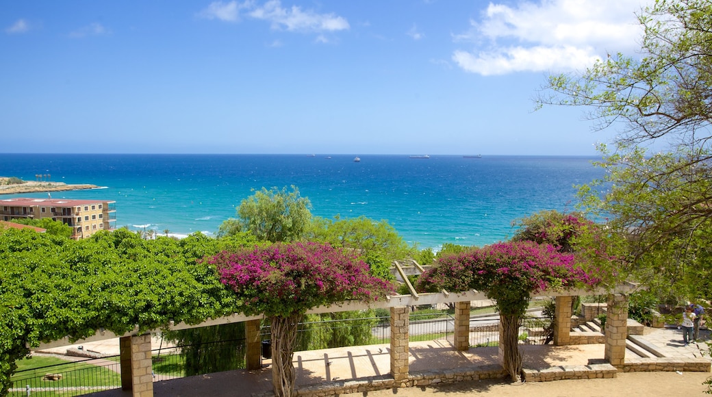 Amphitheater von Tarragona das einen Park, Küstenort und Blumen